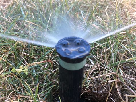 Replace sprinkler head. Things To Know About Replace sprinkler head. 